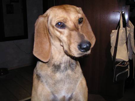 Bella (Berta)