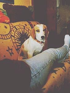 Stella