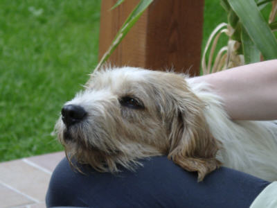 Max