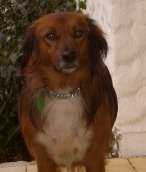 Martina