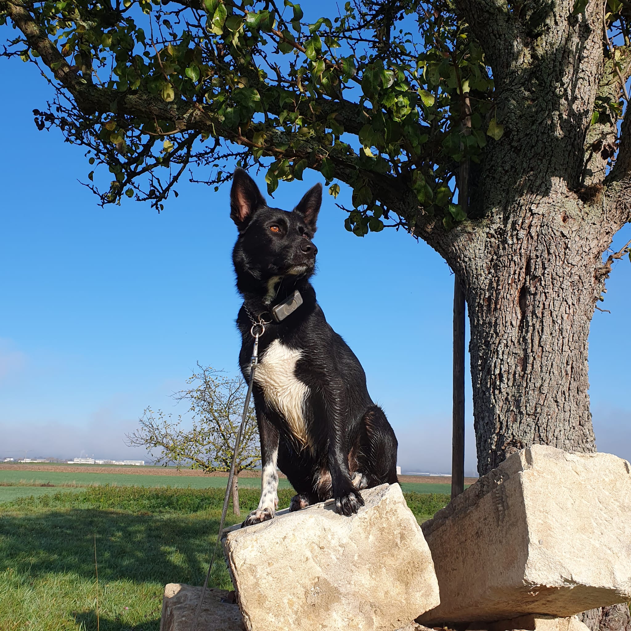 Zeus/Kayto