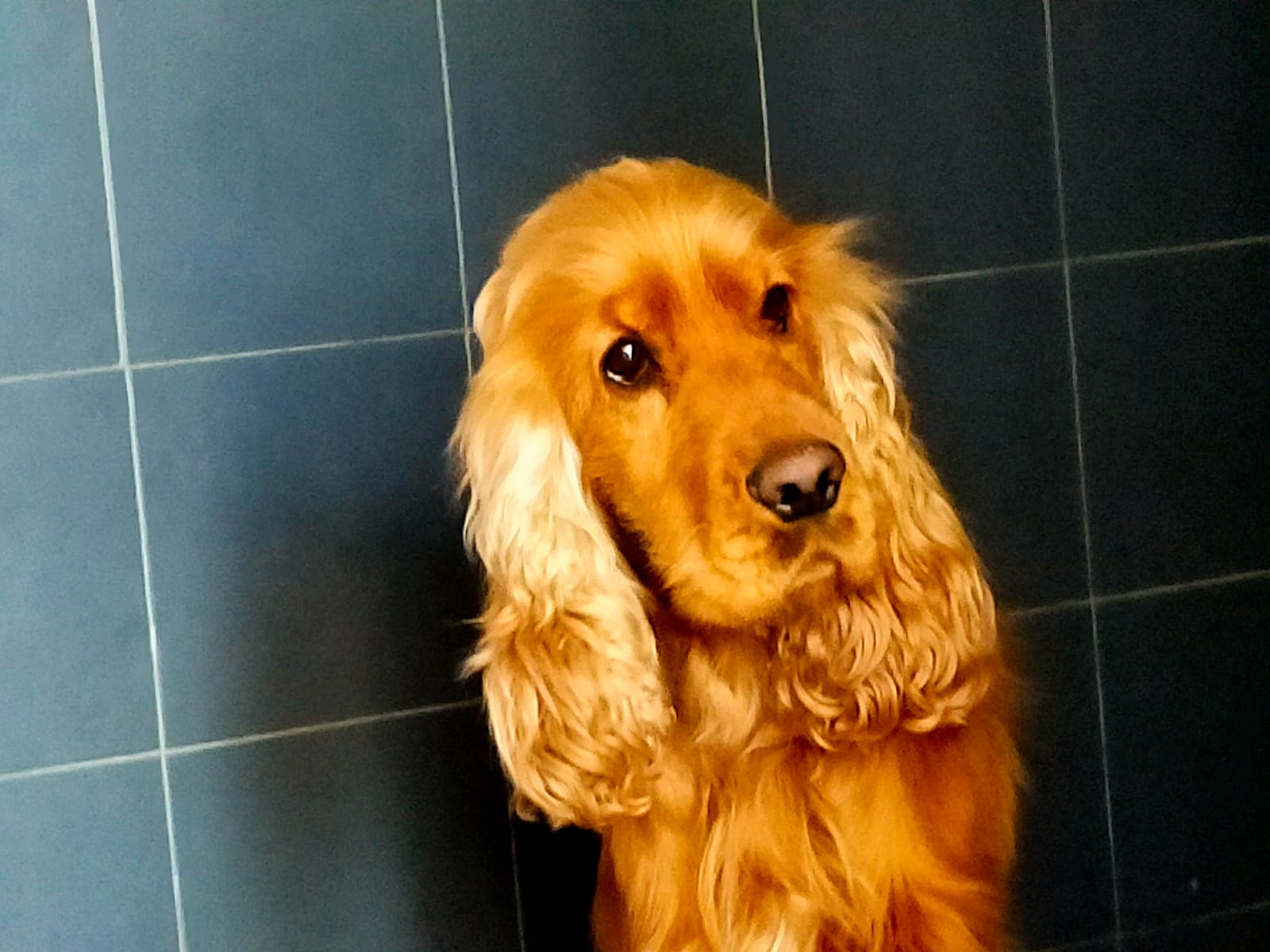 Axel
