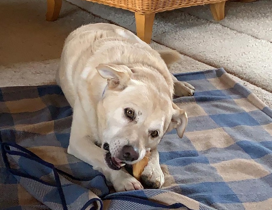Milo
