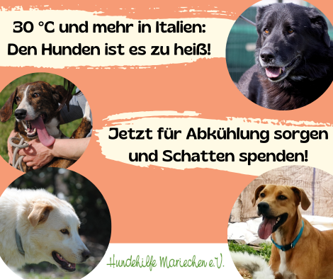 Hilfe gegen Hitze in Italien