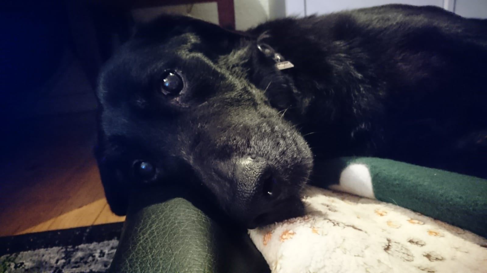 Nerone
