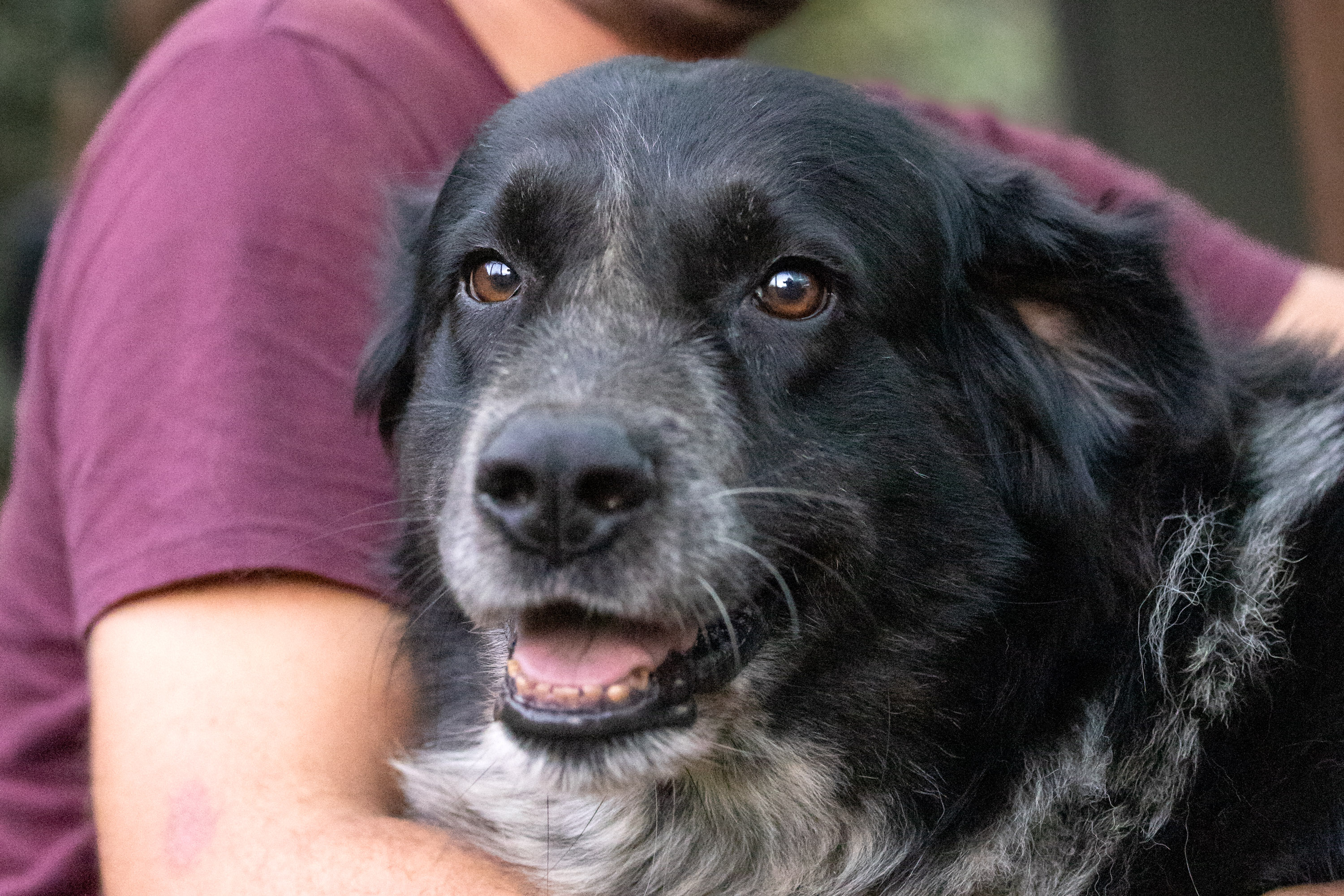 Zack
