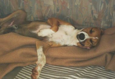 Otto