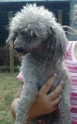 Peppie