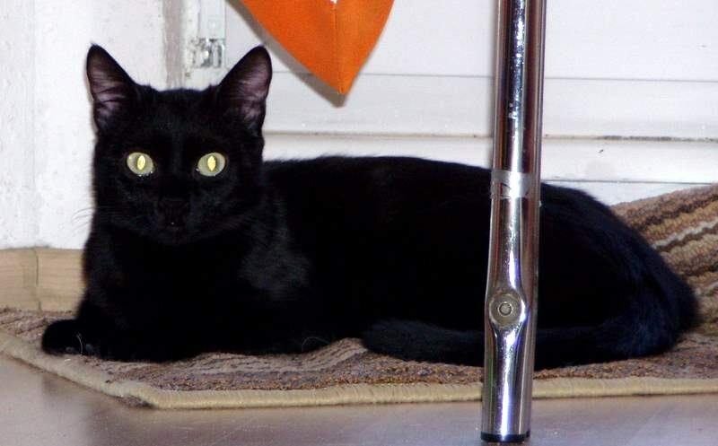 Zita