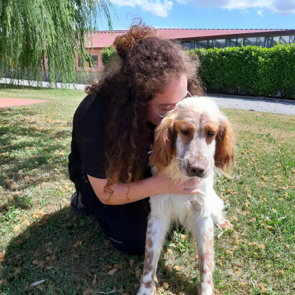 „NOTFALL“ Loreno