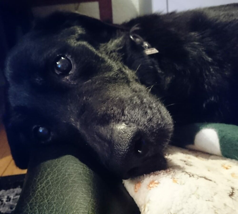 Nerone