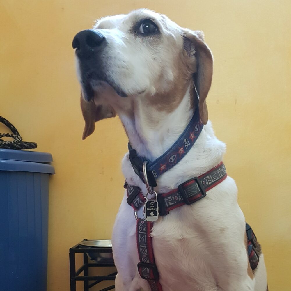 Lena